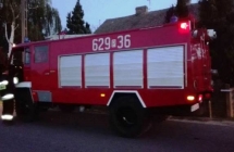 szerszenie_4